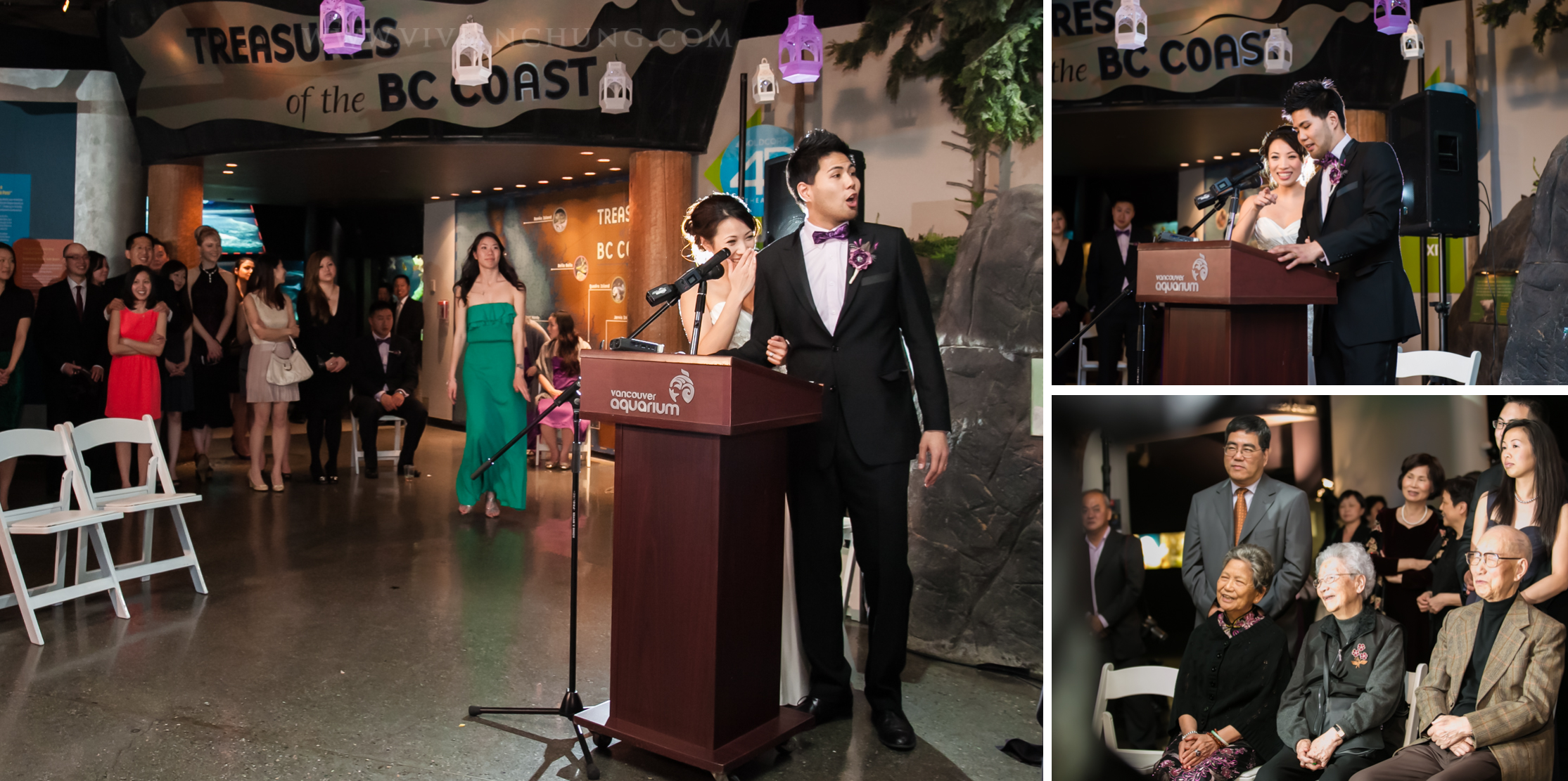 Shawn and michelle wedding, Vancouver Aquarium, Vancouver Aquarium Wedding